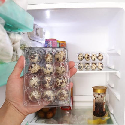 200 Pack Quail Egg Cartons, Clear Plastic Quail Egg Trays, Holds up to 12 Quail Eggs Securely - Your Ultimate Small Eggs Carton Holders for Bulk Storage and Display - size: 12 Grids