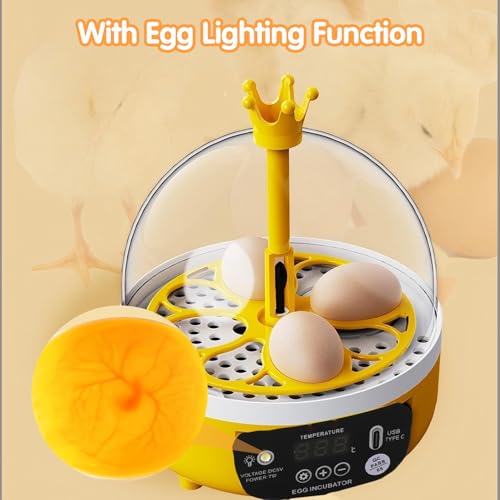 Tissting 4-Egg Mini Incubator with Transparent Lid | 7W Power & Humidity Control | Clear Viewing Window | Auto Egg Turning | for Chicken, Duck, Quail, Pigeon(Auto Turning) - color: 4 Eggs Auto Turning