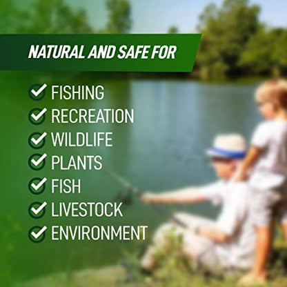 4X Pond Cleaner - Reduces Muck & Sludge for a Clean, Natural Look - Super Concentrated Lake and Water Feature Enzymes Treats Up to 1 Acre, Pair with Dye - Safe for Fish and Wildlife (32 oz) - size: 32 oz