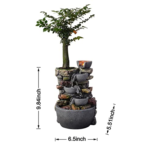 Haobos Indoor Fountain 4-Bowl Rockery Soothing Sound Tabletop Fountains Home/Office Decor Gift for Mom,Mother Day Present with A Small Plastic Pot to Grow Plant/Hebs By Yourself (Automatic Watering)