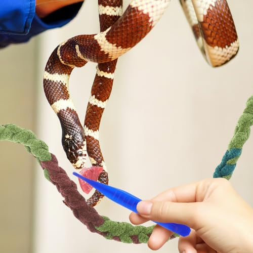 Garneck Reptile Feeding Clamp 6pcs Plastic Tweezers for Scorpion Lizard Snake Care