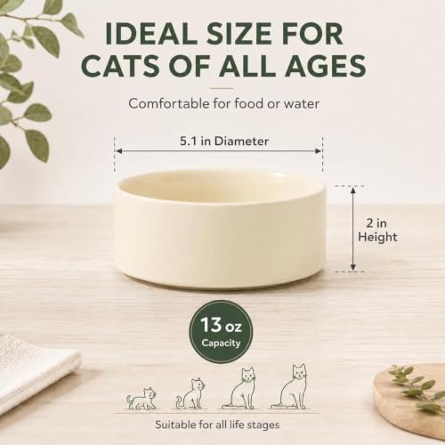 Havniva Cat Bowls Set of Two, 5.1” Ceramic Cat Food and Water Bowls | Cat Food Bowls Whisker Friendly, Non-Slip Base, Food-Grade Ceramic, Wide Opening, Dishwasher Safe, Cat Bowls for Indoor Cats - color: Light Yellow, size: 2 Bowls - 5.1"