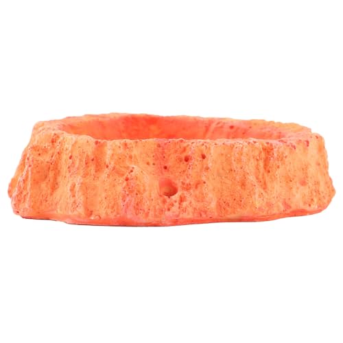 INOOMP Reptile Feeding Bowl and Water Dish Anti-Skid Orange Food Container for Lizard and Gecko Terrarium Supplies