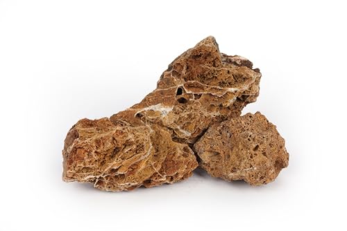 Maple Leaves Stone Natural Aquascaping Rock 18lb Planted Aquarium | Layered texture; iwagumi and planted tank - size: 14 Maple Leaves Stone(3-9 inches,18lbs)