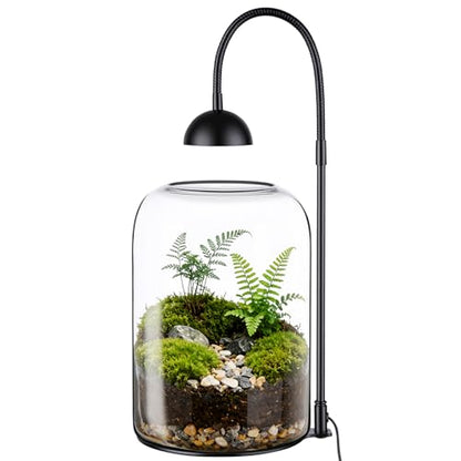 Glass Plant Terrarium, LED Grow Light, Adjustable Ventilation | 8.2" borosilicate body, US plug adapter and guide, for Venus fly traps, moss and succulents, plants and soil not included