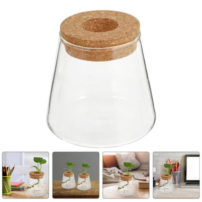 3pcs Glass Hydroponic Plant Vases with Wood Lid Plant Propagation Terrariums for Desk and Home Decor Stylish Desktop Containers Showcasing Root Growth for Flowers