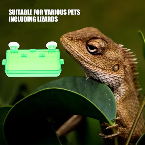 GALPADA Escape Prevention Plastic Reptile Feeder Bowl for Lizards and Snakes, Easy to Clean Light Green Feeding Dish Suitable for Bearded Dragon and Gecko Terrariums
