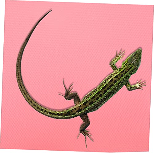 Crawling Blanket Gecko Carpet Bearded Dragon Carpet Lizard Carpet Bearded Dragon Tank Accessories Reptile cage mat Reptile Substrate mat Terrarium Carpet Pink Rug eva Glass Iguana