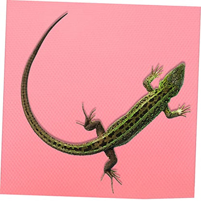 Crawling Blanket Gecko Carpet Bearded Dragon Carpet Lizard Carpet Bearded Dragon Tank Accessories Reptile cage mat Reptile Substrate mat Terrarium Carpet Pink Rug eva Glass Iguana