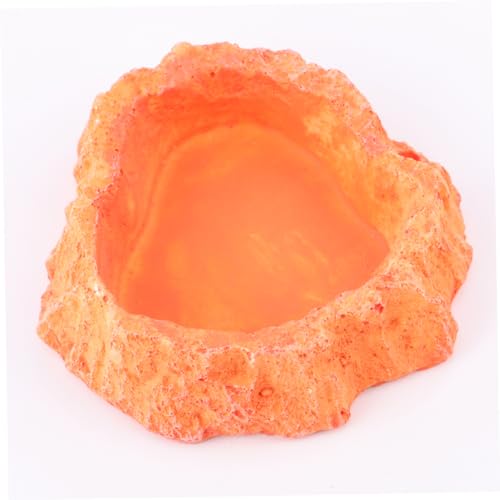 Toddmomy Reptile Water Bowl Lizard Accessories Reptile Food Feeder Bowl Skid-Resistant