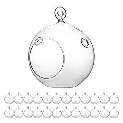 WGV Hanging Terrarium Globe, Width 4", Height 4.75", DIY Air Succulent Planter, Clear Glass Vase Orb with Flat Bottom, Candle Holder for Windowsill Outdoor Garden Decor, 24 Pieces Bulk - size: 4" Flat Bottom