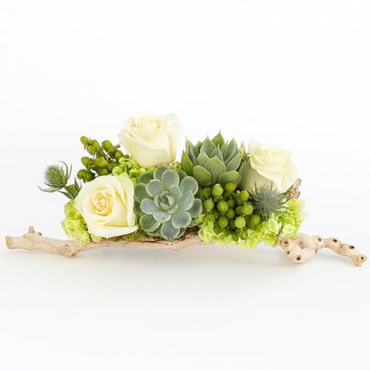 Koyal Wholesale 24" Natural Grapevine, Sandblasted Reptile Wood Branches, Terrarium Grapewood, Reptile Branch, Grapewood Branch, Grapevine Wood for Wedding Centerpieces, Branch Décor - size: 24 Inch