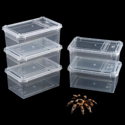 5 Pack Small Reptile Terrarium Breeding Box Transparent Hatching Container Plastic Feeding Box for Gecko Frog Spider Scorpion Centipede Insect