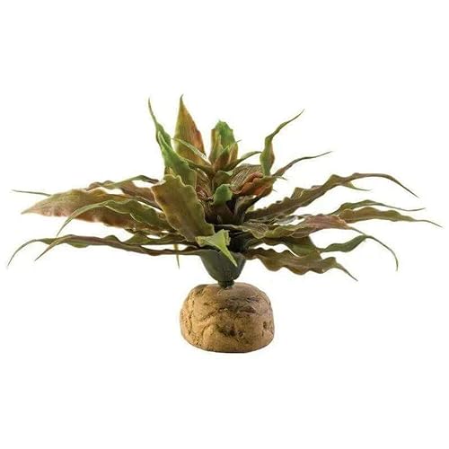 Exo Terra Star Cactus Terrarium Plant | Terrarium Plant - size: One Size, style: Star Cactus
