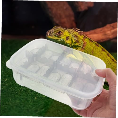 VANZACK Box Incubator Reptiles Reptile Terrariums Betta Fish Tank Terrarium Reptile Egg Incubation Service Dog Patches Pets Dog Wig Fake Swimming Collar Breakaway Reptichip Reptisoil Black