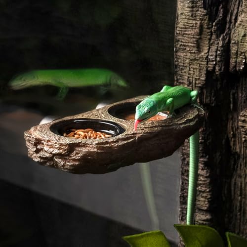 Magnetic Reptile Feeder Ledge, Crested Gecko Feeding Ledge with 6PCS Food Cups Reptile Food Dish Water Bowl Tank Accessories for Bearded Dragon Chameleon Lizard Snake - size: Large