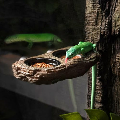 Magnetic Reptile Feeder Ledge, Crested Gecko Feeding Ledge with 6PCS Food Cups Reptile Food Dish Water Bowl Tank Accessories for Bearded Dragon Chameleon Lizard Snake - size: Large