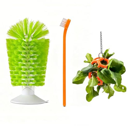 3 Pcs Turtle Tank Accessories, Tortoise Brush with Suction Cup, Feeder Ball