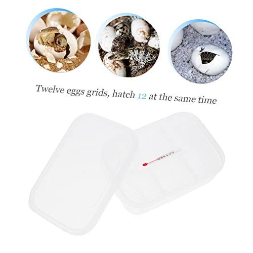 GANAZONO 1Pc Compartment Reptile Hatching Box Transparent Gecko Incubator for Snakes and Lizards Easy to Clean Reptile Breeding Case with Thermometer for Egg Incubation and Reuse