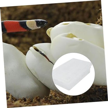HANABASS 20grids Reptile Hatching Incubator Box Breeding Kit for Eggs View of Hatching Process Easy Fun Experience
