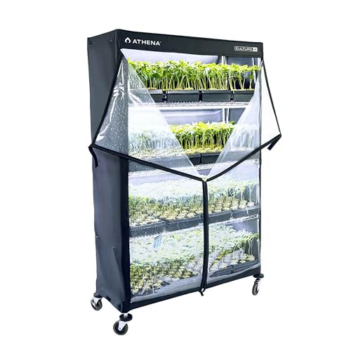 Athena Culture VPDome Indoor Greenhouse for Plant Propagation | TC-VPD
