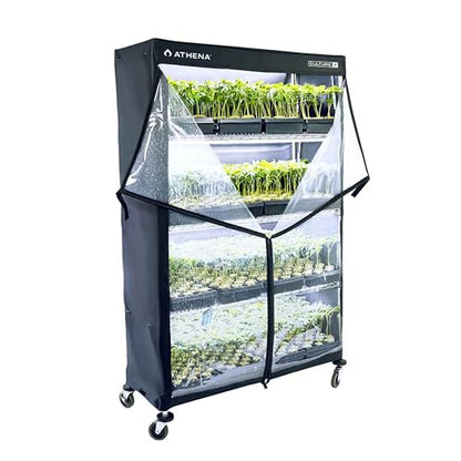 Athena Culture VPDome Indoor Greenhouse for Plant Propagation | TC-VPD