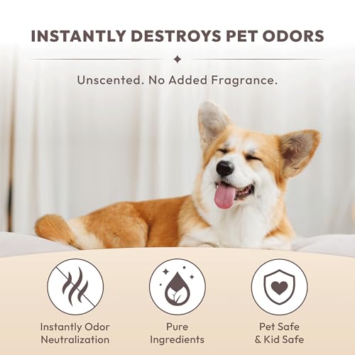 Pet Safe Odor Eliminator for Home - Multi-Purpose Deodorizer Spray | for Cat Litter Box, Dog Poop, Urine Smells, Carpet, Car, Room | Unscented, Non-Toxic, Fragrance-Free, Lab-tested (10.1 Oz)