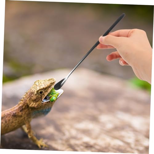 SUPVOX 3pcs Sturdy Stainless Steel Lizard Food Spoon Reptile Feeding Tool for Crested Gecko Food - color: Black