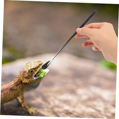 SUPVOX 3pcs Sturdy Stainless Steel Lizard Food Spoon Reptile Feeding Tool for Crested Gecko Food - color: Black