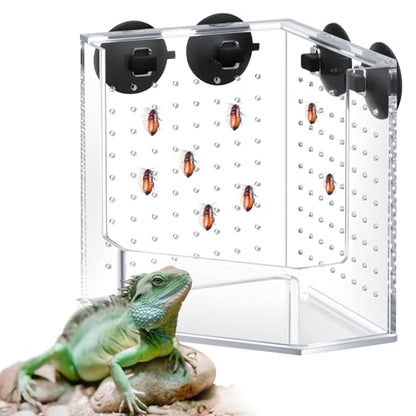 Weysat Reptile Corner Hunting Bowl, Transparent Acrylic Reptile Feeder Box with 4 Suction Cups, Tank and Aquarium Accessories for Lizard Bearded Dragon Chameleon Gecko Frog, 3.9 x 3.9 x 6.1 Inches