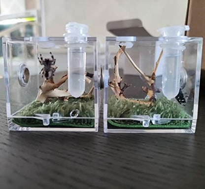 AWXZOM Spider Terrarium, Acrylic Reptile Breeding Box Jumping Spider Enclosure with Dropper Tongs Snail cage, Cricket Enclosure arboreal Tarantula Habitat
