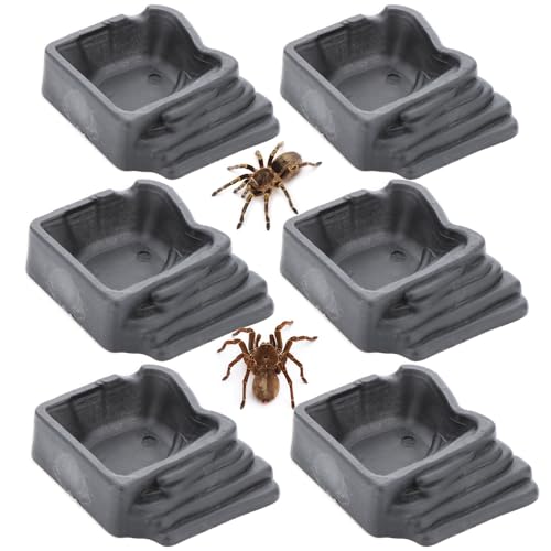 6 Pack Tarantula Water Bowl Hermit Crab Resin Dish for Reptile Tarantula Spider Millipede Insect (Large: 0.94" D, 0.47" H)