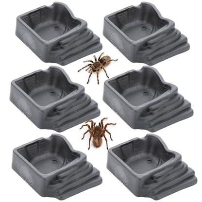 6 Pack Tarantula Water Bowl Hermit Crab Resin Dish for Reptile Tarantula Spider Millipede Insect (Large: 0.94" D, 0.47" H)