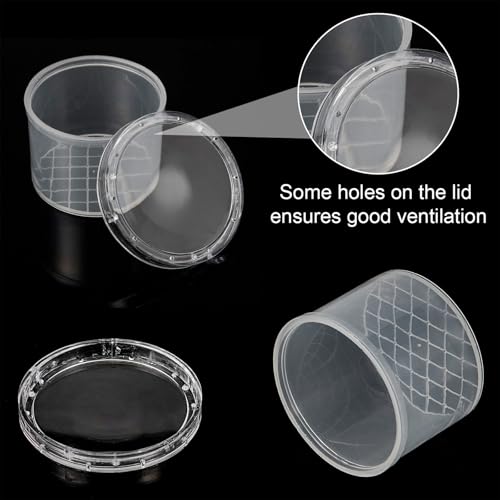 Sumind 20 Pcs Critter Keeper Bug Magnifier Insect Container with Lid - Bug Catcher Cage Science Nature Exploration Tools for Outdoor Adventure and School Field Trips