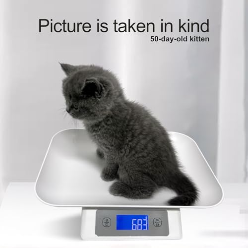 Digital Pet Scale for Small Adult Cats and Animals, Measuring Range 0.1oz-33lbs, Accuracy 1g/0.035oz, Units g/kg/lb/oz/tl/ml, Suitable for Kittens, Puppies, Snakes,and Small Dog (Grey) - color: grey