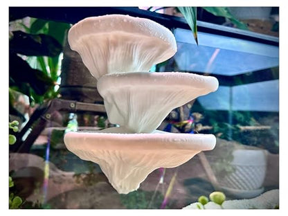 Mushroom Ledge for Terrarium – Climbing & Resting Platform with Suction Cups (Bone, 6''x4.5''x5.25'') - color: Bone