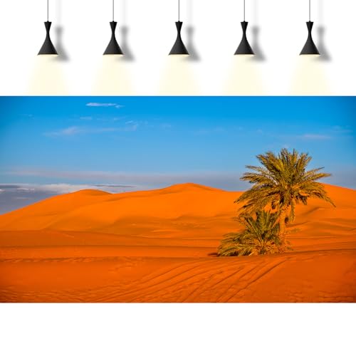 Desert Reptile Tank Background Majestic Sunset Desert Landscape Terrarium Background Desert Palm Tree Sand Dunes Reptile Habitat Background Sunrise Sahara Desert Aquarium Fish Tank Background 36x24in - size: 36(W)x24(H)inches/ 90(W)*60cm(H)
