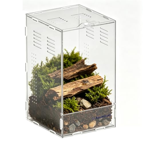 Acrylic Jumping Spider Enclosure, 5.91×5.91×9.84 in Clear Terrarium | Front opening ventilated habitat for jumping spiders, small spiders and slow-moving invertebrates; clear acrylic display. - size: 6.0"L x 6.0"W x 9.0"H