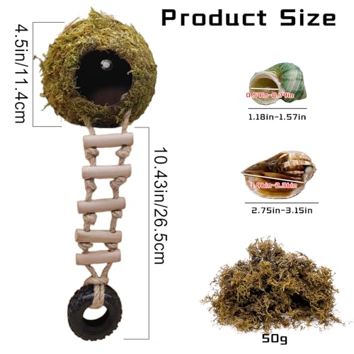 Hermit Crab Moss Coconut Shell Hideout with Climb Ladder,Leopard Gecko Hide Hut with Moss and Sea Shells,Hermit Crab Climbing Tank Accessories for Crested Gecko,Reptiles