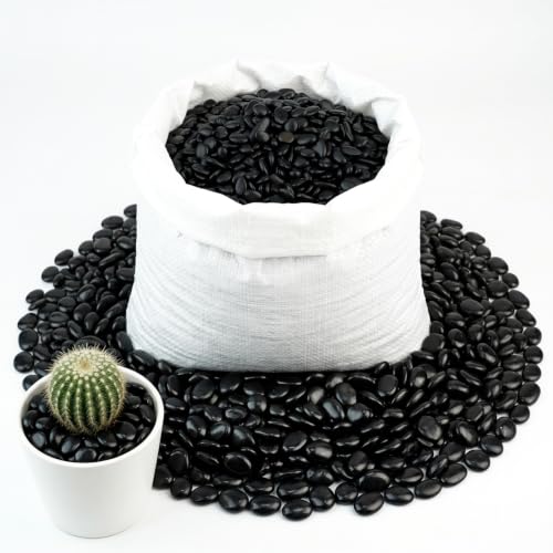 CJGQ 45lb 1/4" Small Pebbles Black for Plants,Potting,Succulents Aquarium Fish Tank Vases Decorative Garden Polished Gravel Rocks Stones - color: Black, size: 45lb