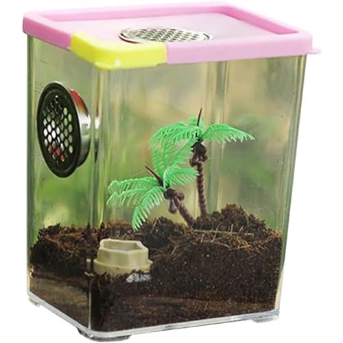 Reptile Growth Tank, Reptile Terrarium Vivarium for Small Incects, Reptile Feeding Box for Jumping Spider, Scorpion, Mantis, Snail, Climbing Pet Container, Reptile Habitat Breeding Box,M - color: M