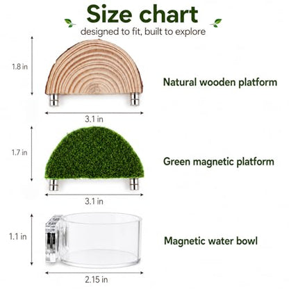 2 in 1 Jumping Spider Enclosure Accessories - Magnetic Feeding Dish with Jumping Wood Ledges | Acrylic Water Bowl Food Dish Habitat Decor for Tarantula Small Spider Reptile
