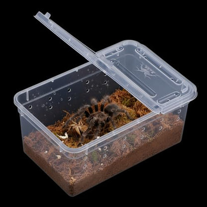 10 Pcs Reptile Breeding Box, Clear Plastic Terrarium with Vent Holes, Small Animal Enclosure for Spider Scorpion Lizard Insect, 5.9x3.9x2.55 Inch