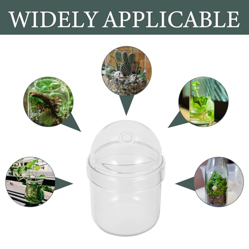 Small Plant Terrarium: Desktop Glass Terrarium Planter for Succulent, Moss, Miniature Gardening Landscape - Tiny Betta Fish Tank, Office Home Decoration