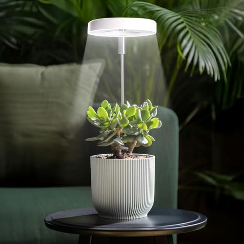 Grow Lights for Indoor Plants Small Potted - Full Spectrum, Auto 3/9/12H Timer, 10-Level Dimming & Adjustable Height - Compact Grow Light for Succulents, Herbs, Foliage in Home/Office (White,1PACK) - color: White, size: 1-Pack