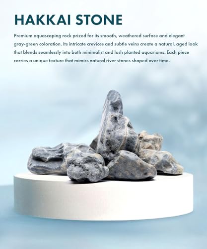 Natural Aquarium Stones - Bug-Eaten, Pahai, Dark Bluish Green Decorative Aquascaping Rocks for Betta Fish Tank, Cichlids, Shrimp, Hermit Crab & Reptile Enclosure - Hakkai, 10 LB - color: Hakkai, size: 10 Pounds