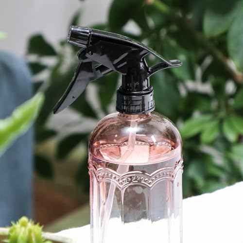 Watering Can for Indoor Plants Long Spout Metal Stainless Steel 21 oz Small Watering Can with 14 oz Glass Plant Mister Spray Bottle for Plants Bonsai - color: Rose Gold Watering Can+tawny Clear Spray Bottle