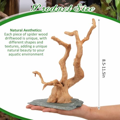 AceOrbit Large Driftwood for Aquarium, 8.5-11.5 Inch Spider Wood on Slate Stone, Natural Spiderwood Aquarium Driftwood Aquascaping Wood for Reptile Enclosure, Terrarium, Reptile Tank, Fish Tank Decor