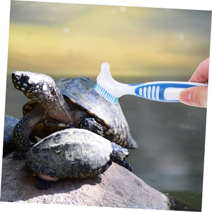 BESPORTBLE 3pcs Turtle Shell Cleaning Brush for Aquatic Turtle Tank Reptile Hides Reptile Accessories - color: Sky-blue