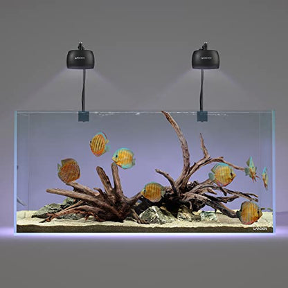 Kueiyang Hornwood for Aquascaping, Aquarium Driftwood Decor, Natural Branches(12-16 inches, 30-40cm) 4pcs Terrariums Vivariums Reptile and Amphibian Enclosures Various Shapes - size: XL (12-16 inches, 30-40cm), 4pcs